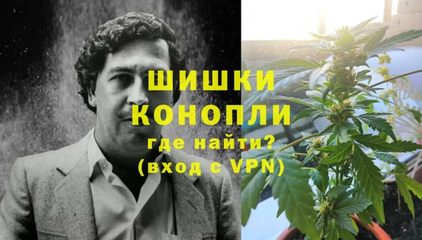 спиды Новозыбков