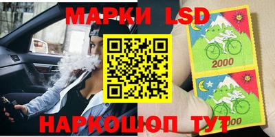 PSILOCYBIN Камышлов