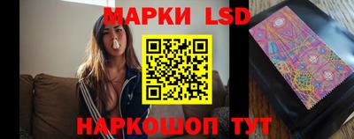 PSILOCYBIN Камышлов