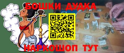 PSILOCYBIN Камышлов