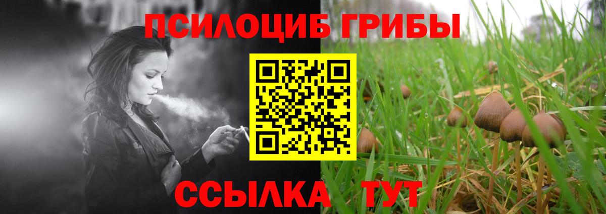 Псилоцибиновые грибы Cubensis  Вход с VPN  Чусовой 